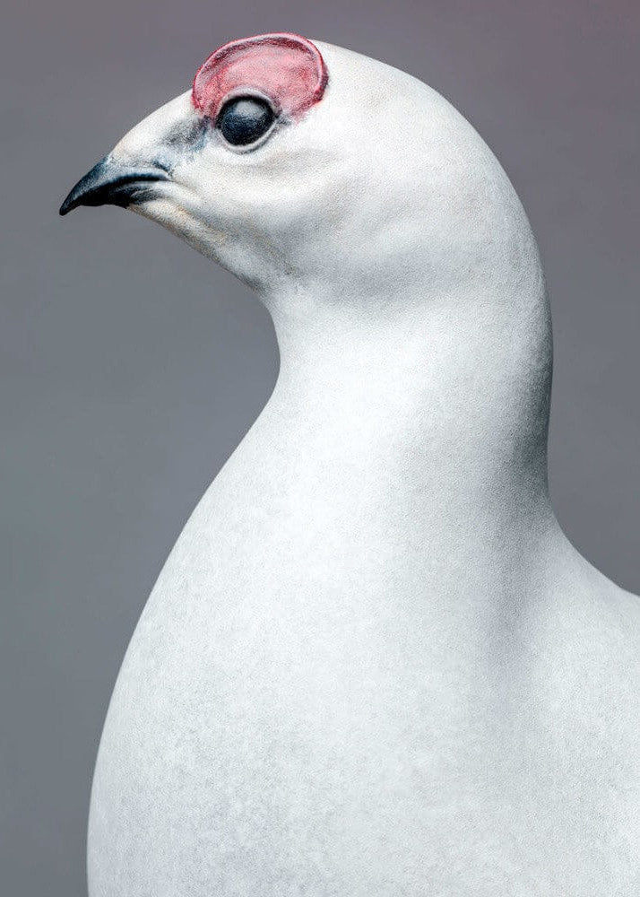 A finely sculpted bronze ptarmigan standing tall on an angular rocky base, with a smooth winter-white patina and soft grey tonality, capturing the bird’s alert posture and clean, rounded form against a neutral backdrop.