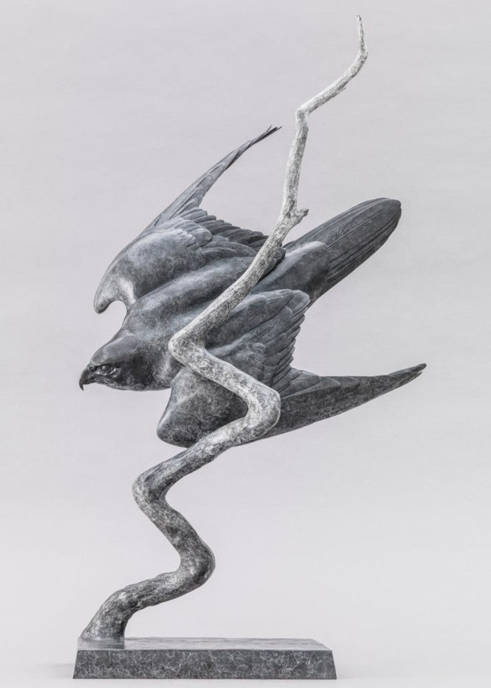 A life-size bronze peregrine falcon captured in a dramatic diving stoop, its swept wings and slate-grey patina emphasising speed, precision and sculptural elegance in a striking, aerodynamic form.