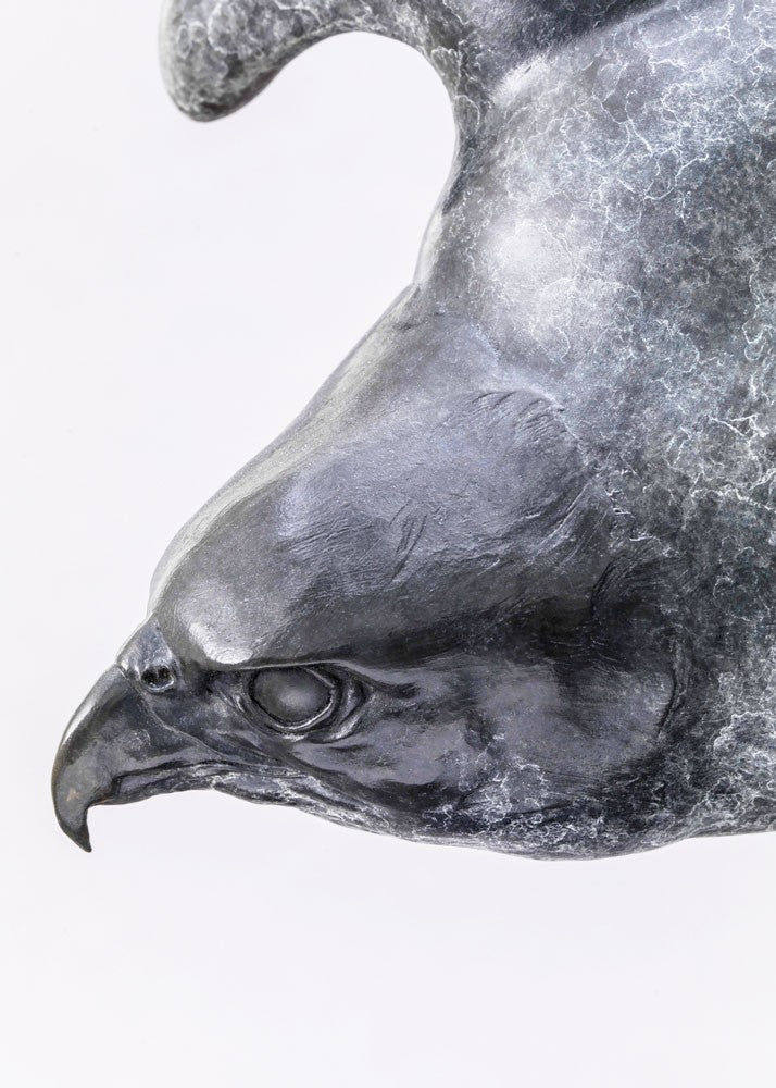 A life-size bronze peregrine falcon captured in a dramatic diving stoop, its swept wings and slate-grey patina emphasising speed, precision and sculptural elegance in a striking, aerodynamic form.