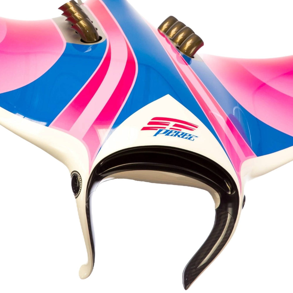 Alastair Gibson CarbonArt45 carbon fibre bespoke racing J manta ray sculpture with aluminium fins and Formula One components, suspended contemporary design