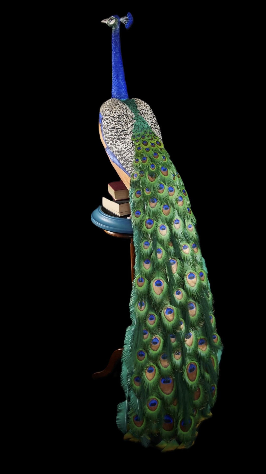 Arrogant Beauty by Jamie Lord – a life-size peacock sculpture meticulously crafted from hand-cut, hand-painted 260gsm pastel paper feathers. The peacock stands proudly atop stacked vintage books, its vivid green and blue plumage cascading nearly to the floor. Designed to symbolise pride, intelligence, and transformation, the sculpture features lifelike detail and rich texture, standing 1.75 metres tall and presented against a black backdrop.