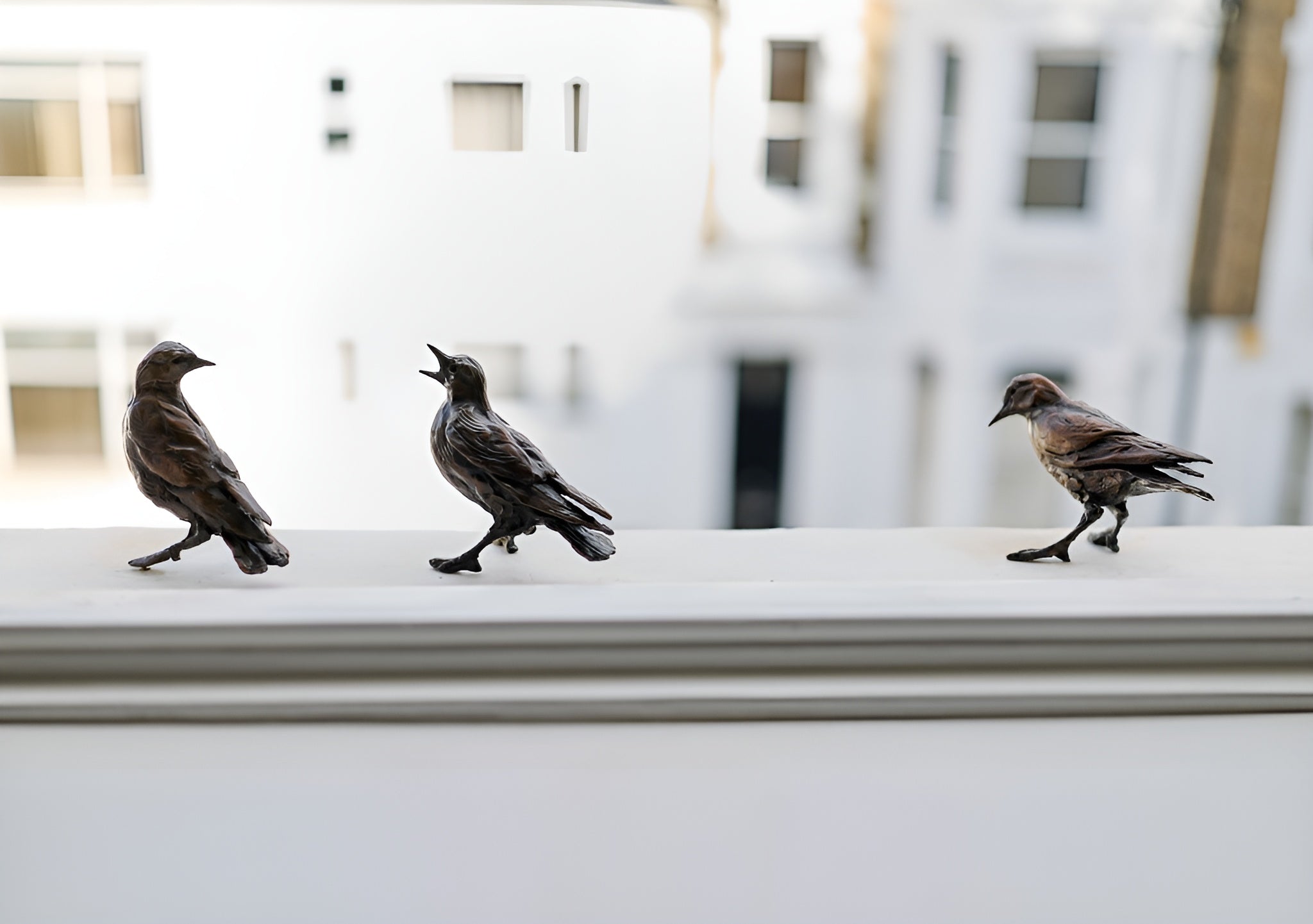 Jane Shaw commission of 3 Starlings for a n apartment window sill for the public to enjoy