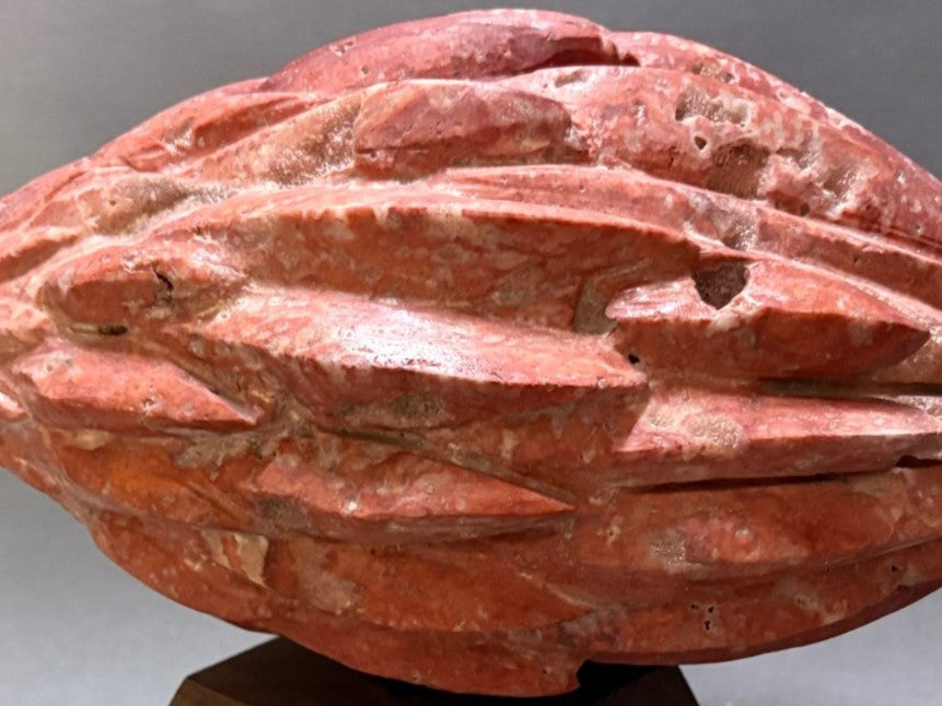 Protea by Brendan Cullen, a hand-carved sculpture in red travertine marble, shaped into a seed-pod-like form with layered ridges and natural cavities. The warm red stone, mottled with lighter and darker mineral patterns, gives the work an organic, earthy vitality. Mounted on a dark wooden base, the piece evokes both growth and resilience.