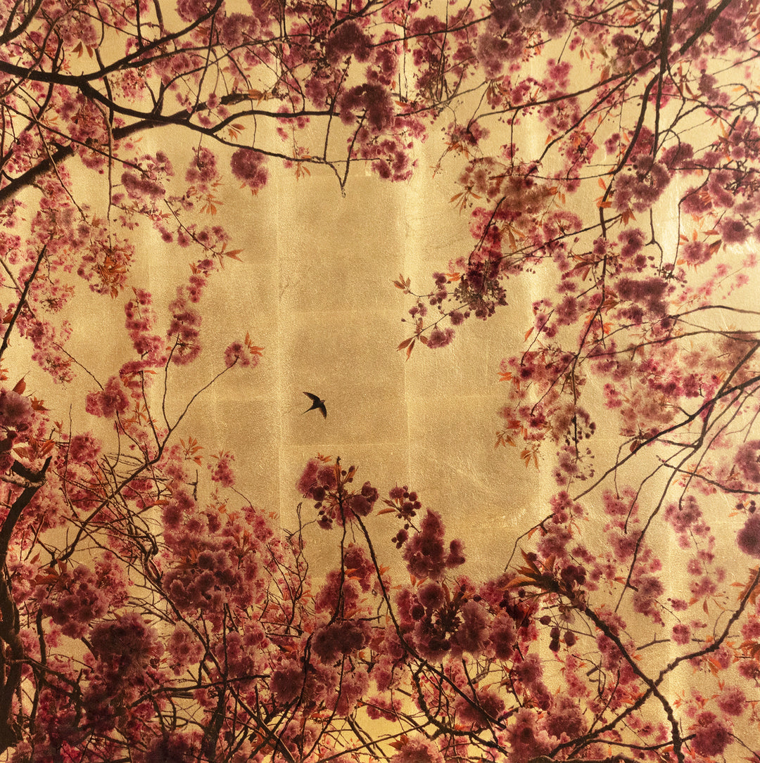 Robert Pereira Hind’s Prunus from the Out of Eden series — a delicate mixed media portrayal of cherry blossom branches in full bloom, encircling a single swallow in flight. Pink and magenta petals contrast against a luminous gold-leaf background, with subtle autumnal leaves adding warmth. Created using acrylic paint and organic photographic pigment on a gilded wooden panel, the surface is finished with shellac and art glazes to develop a rich, natural patina over time.