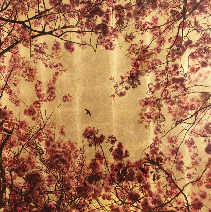 Robert Pereira Hind’s Prunus from the Out of Eden series — a delicate mixed media portrayal of cherry blossom branches in full bloom, encircling a single swallow in flight. Pink and magenta petals contrast against a luminous gold-leaf background, with subtle autumnal leaves adding warmth. Created using acrylic paint and organic photographic pigment on a gilded wooden panel, the surface is finished with shellac and art glazes to develop a rich, natural patina over time.
