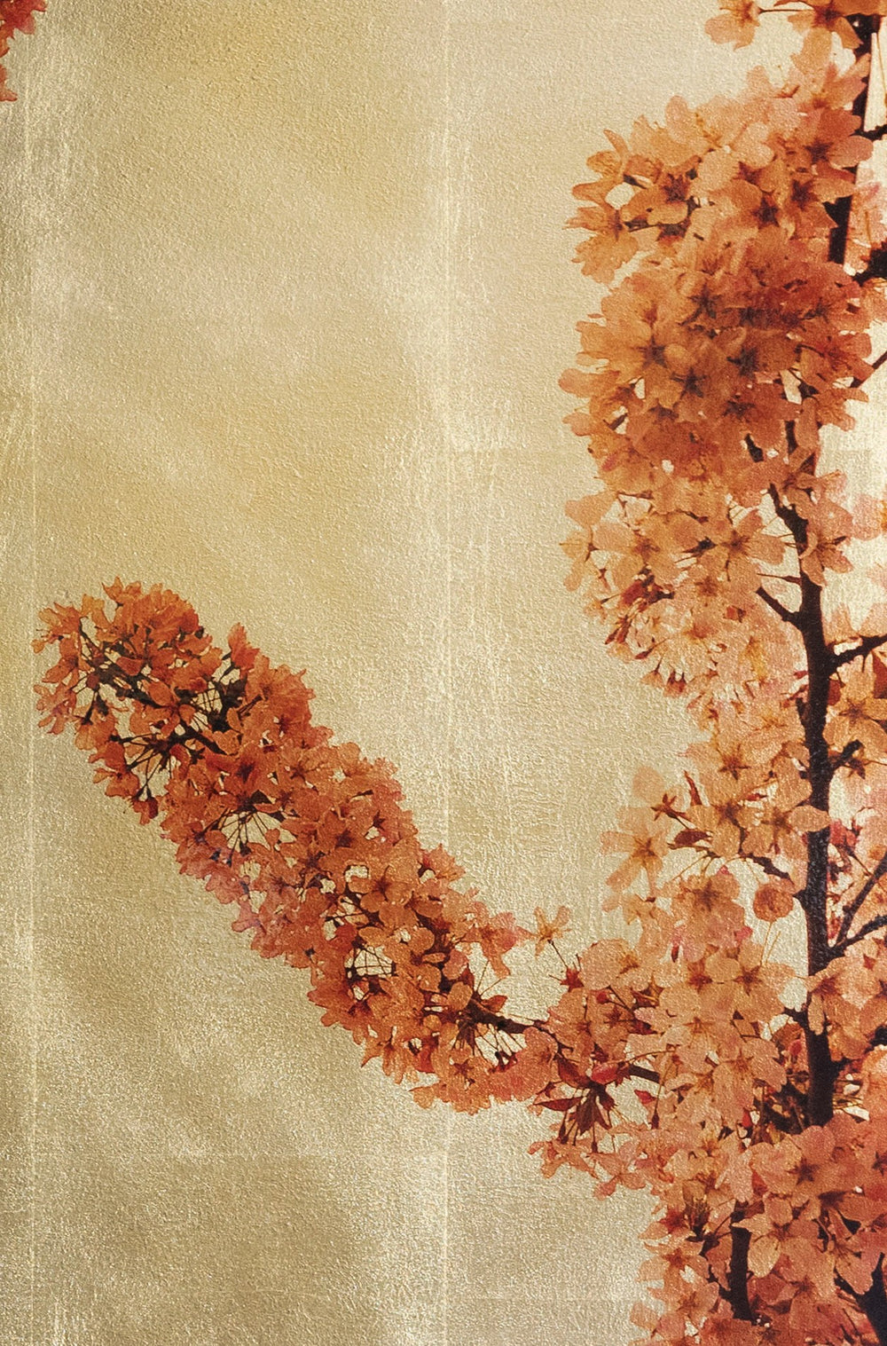Robert Pereira Hind’s Prunus Sakura III — a radiant mixed media artwork depicting vivid orange-red cherry blossom branches against a shimmering gold-leaf background. Created with acrylic paint and organic photographic pigment on a gilded wooden panel, the composition glows with warmth and depth. Finished with shellac and art glazes, the piece will gently oxidise over time, developing a subtle patina that adds atmosphere and timeless character.