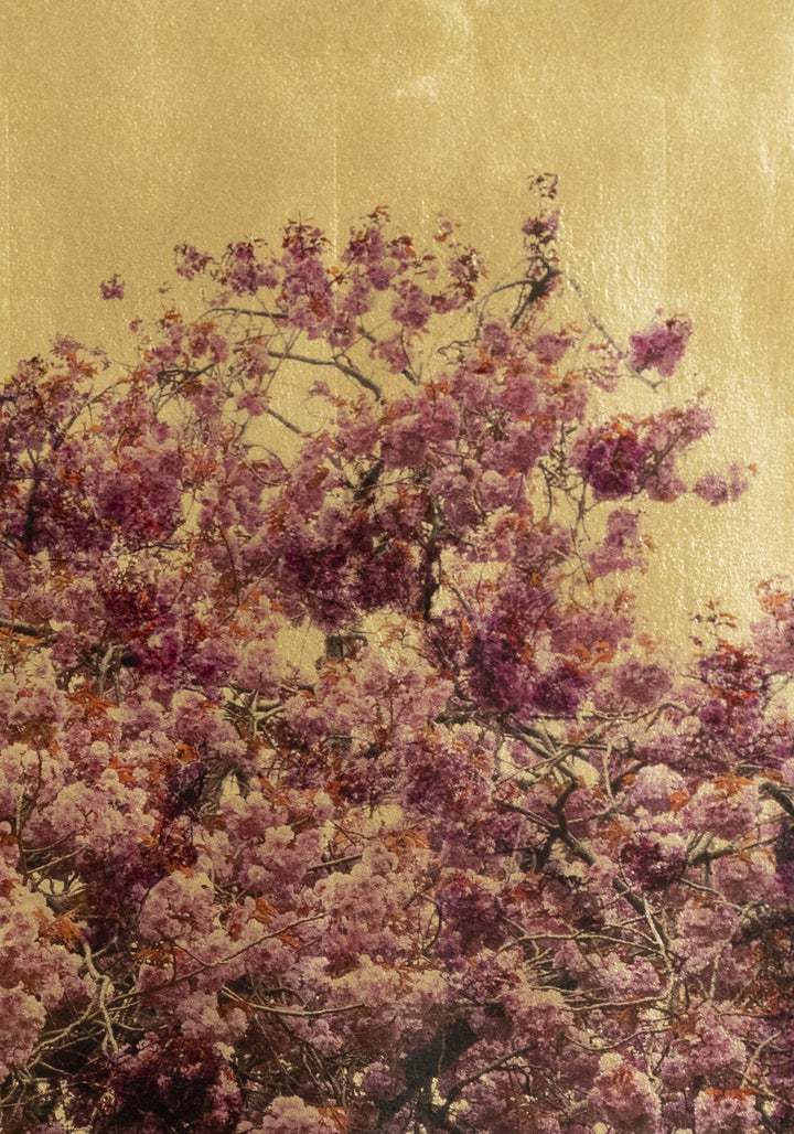 Robert Pereira Hind’s Prunus Serrulata XVI — a solitary Japanese cherry blossom tree in peak bloom, its branches adorned with dense clusters of pink, lilac, and soft magenta flowers, set against a radiant gold-leaf background. Created with acrylic paint and organic photographic pigment on gilded wooden panel, finished with shellac and art glazes that will develop a warm patina over time.