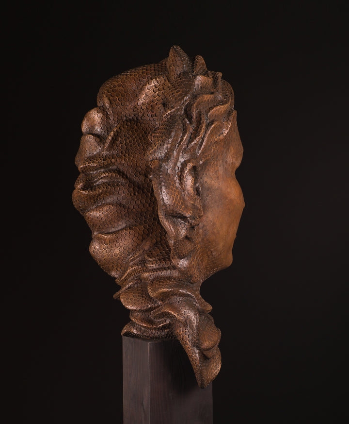 Detailed bronze sculpture of a serene female face emerging from a swirling form of honeycomb texture, symbolising a queen bee. The head is crowned with hexagonal cells, flowing seamlessly into a coiled, hive-like base. The surface glows with rich golden and amber tones, celebrating fertility, nature, and the intricate structure of the hive. A bold fusion of natural pattern and human portraiture that highlights the interdependence of bees and humans.
