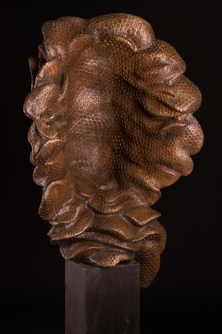 Detailed bronze sculpture of a serene female face emerging from a swirling form of honeycomb texture, symbolising a queen bee. The head is crowned with hexagonal cells, flowing seamlessly into a coiled, hive-like base. The surface glows with rich golden and amber tones, celebrating fertility, nature, and the intricate structure of the hive. A bold fusion of natural pattern and human portraiture that highlights the interdependence of bees and humans.