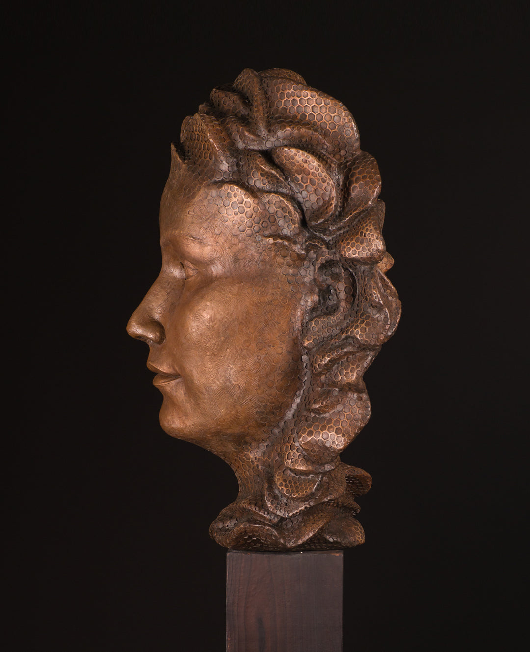 Detailed bronze sculpture of a serene female face emerging from a swirling form of honeycomb texture, symbolising a queen bee. The head is crowned with hexagonal cells, flowing seamlessly into a coiled, hive-like base. The surface glows with rich golden and amber tones, celebrating fertility, nature, and the intricate structure of the hive. A bold fusion of natural pattern and human portraiture that highlights the interdependence of bees and humans.