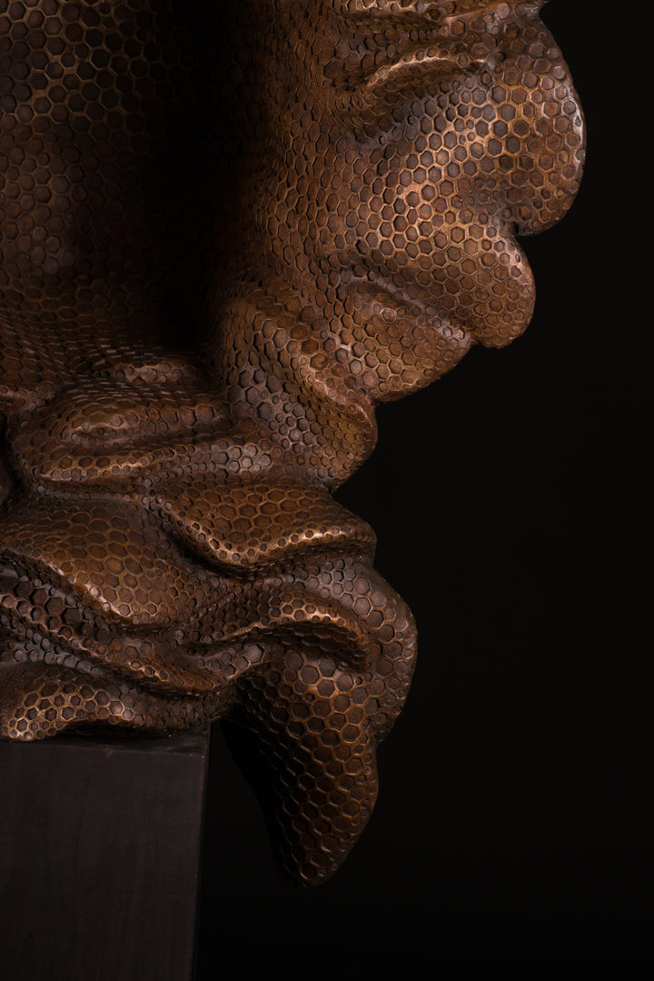 Detailed bronze sculpture of a serene female face emerging from a swirling form of honeycomb texture, symbolising a queen bee. The head is crowned with hexagonal cells, flowing seamlessly into a coiled, hive-like base. The surface glows with rich golden and amber tones, celebrating fertility, nature, and the intricate structure of the hive. A bold fusion of natural pattern and human portraiture that highlights the interdependence of bees and humans.