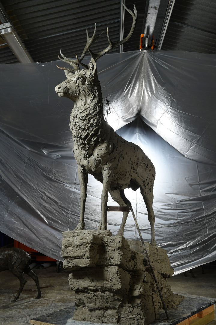 ‘Red Stag: Life Size’ by Hamish Mackie, a monumental limited-edition bronze wildlife sculpture depicting a mature Scottish Highland red deer stag standing alert on a rugged rocky outcrop. Featuring an imposing set of branching antlers, a powerful muscular body and richly textured coat, the sculpture captures the strength, dignity and commanding presence of a stag surveying its territory. Photographs show the original hand-modelled clay sculpture prior to bronze casting.