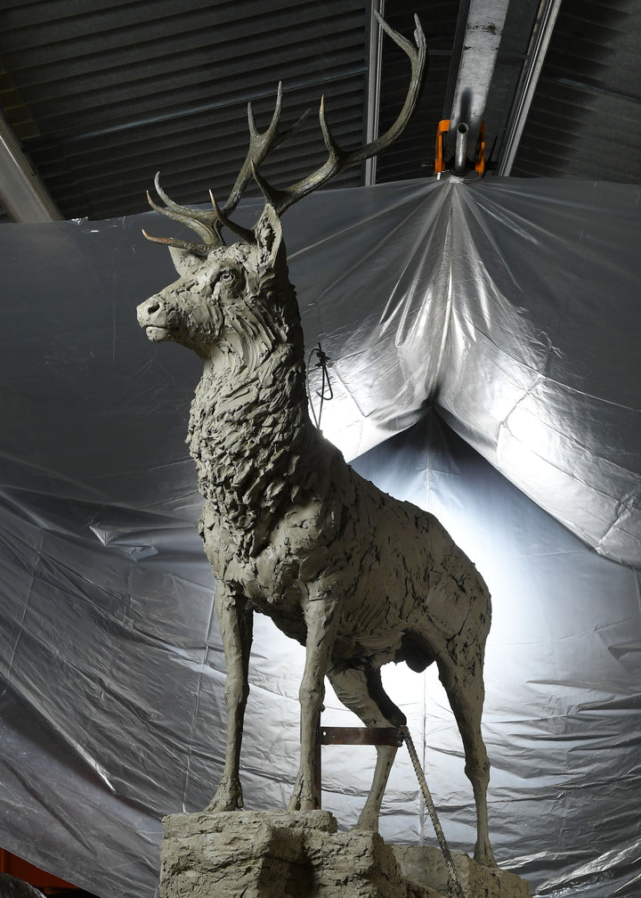 ‘Red Stag: Life Size’ by Hamish Mackie, a monumental limited-edition bronze wildlife sculpture depicting a mature Scottish Highland red deer stag standing alert on a rugged rocky outcrop. Featuring an imposing set of branching antlers, a powerful muscular body and richly textured coat, the sculpture captures the strength, dignity and commanding presence of a stag surveying its territory. Photographs show the original hand-modelled clay sculpture prior to bronze casting.