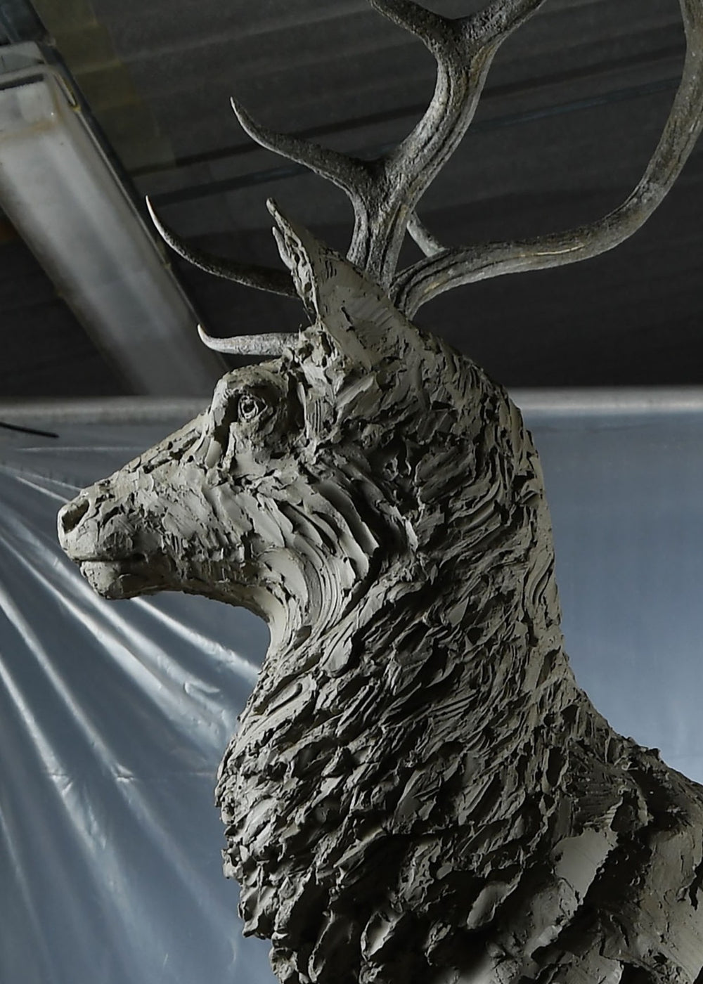 ‘Red Stag: Life Size’ by Hamish Mackie, a monumental limited-edition bronze wildlife sculpture depicting a mature Scottish Highland red deer stag standing alert on a rugged rocky outcrop. Featuring an imposing set of branching antlers, a powerful muscular body and richly textured coat, the sculpture captures the strength, dignity and commanding presence of a stag surveying its territory. Photographs show the original hand-modelled clay sculpture prior to bronze casting.