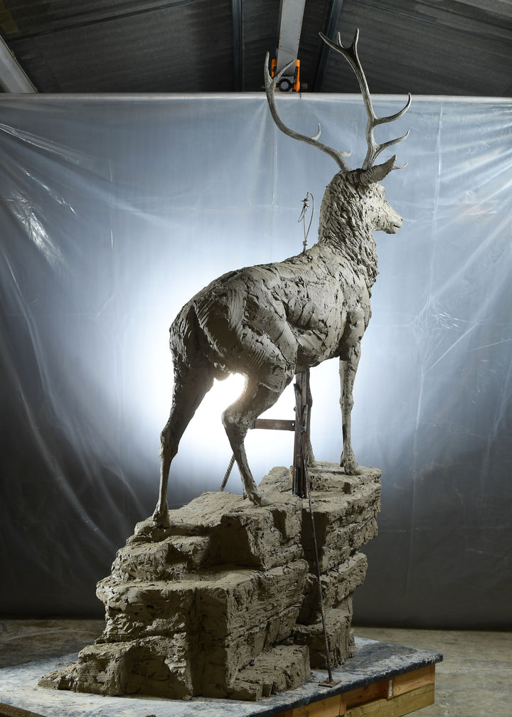 ‘Red Stag: Life Size’ by Hamish Mackie, a monumental limited-edition bronze wildlife sculpture depicting a mature Scottish Highland red deer stag standing alert on a rugged rocky outcrop. Featuring an imposing set of branching antlers, a powerful muscular body and richly textured coat, the sculpture captures the strength, dignity and commanding presence of a stag surveying its territory. Photographs show the original hand-modelled clay sculpture prior to bronze casting.