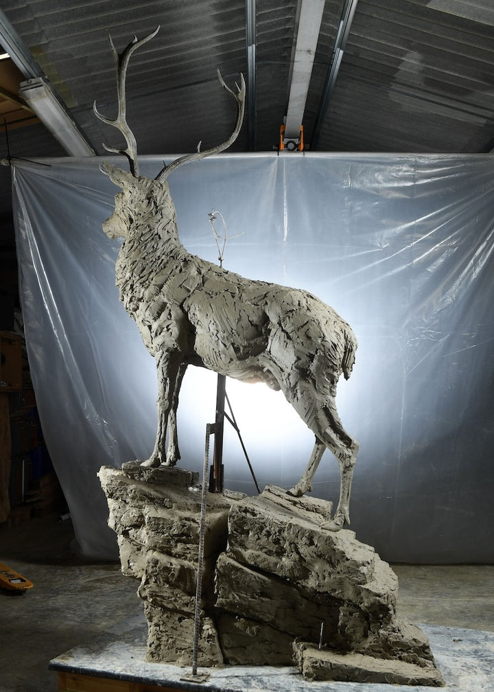 ‘Red Stag: Life Size’ by Hamish Mackie, a monumental limited-edition bronze wildlife sculpture depicting a mature Scottish Highland red deer stag standing alert on a rugged rocky outcrop. Featuring an imposing set of branching antlers, a powerful muscular body and richly textured coat, the sculpture captures the strength, dignity and commanding presence of a stag surveying its territory. Photographs show the original hand-modelled clay sculpture prior to bronze casting.