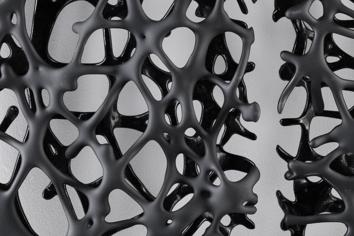 Tracy Nicholls glass wall sculpture Riven — a one-off artwork of two black glass panels forming an orb when placed side by side. The intricate webbed structure undulates with organic movement, featuring a satin-smooth exterior contrasting with a glossy black inner surface that glimmers through the open lace-like forms.