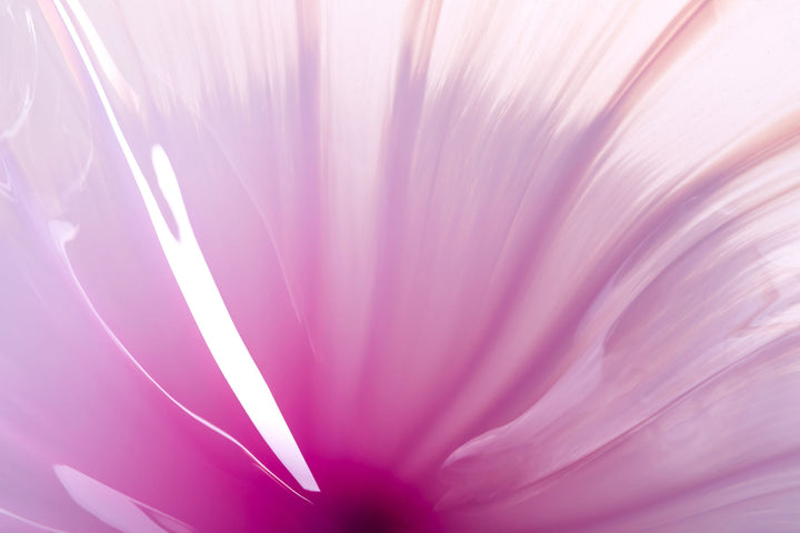 Delicate, translucent handblown glass vessel in soft pink and lavender hues, fanned open like a flower, set against a light background with a mirrored reflection.