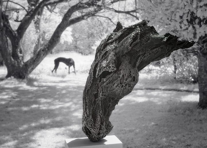 Abstract bronze sculpture of a horse’s head, mounted on a tall corten steel plinth, displayed in various garden and outdoor settings. The textured verdigris patina highlights the expressive contours and emotional form of the equine subject.