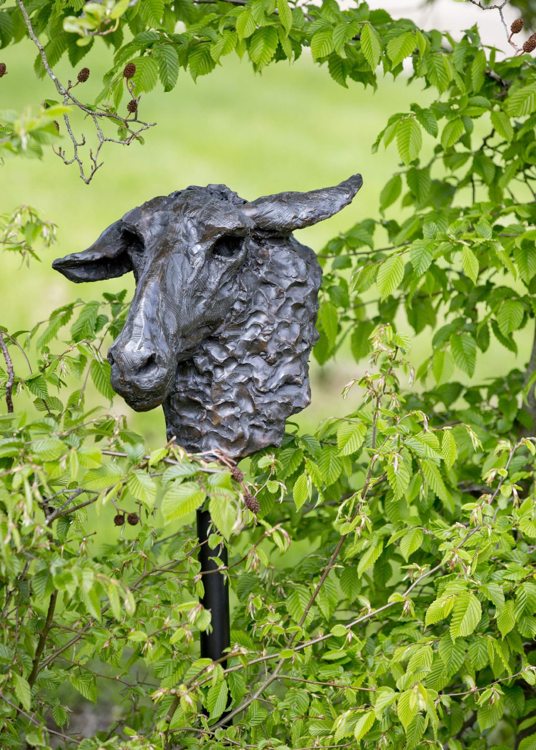 Life-size bronze sculpture of a sheep’s head with textured fleece and alert, characterful expression, mounted on a tall dark metal stand.