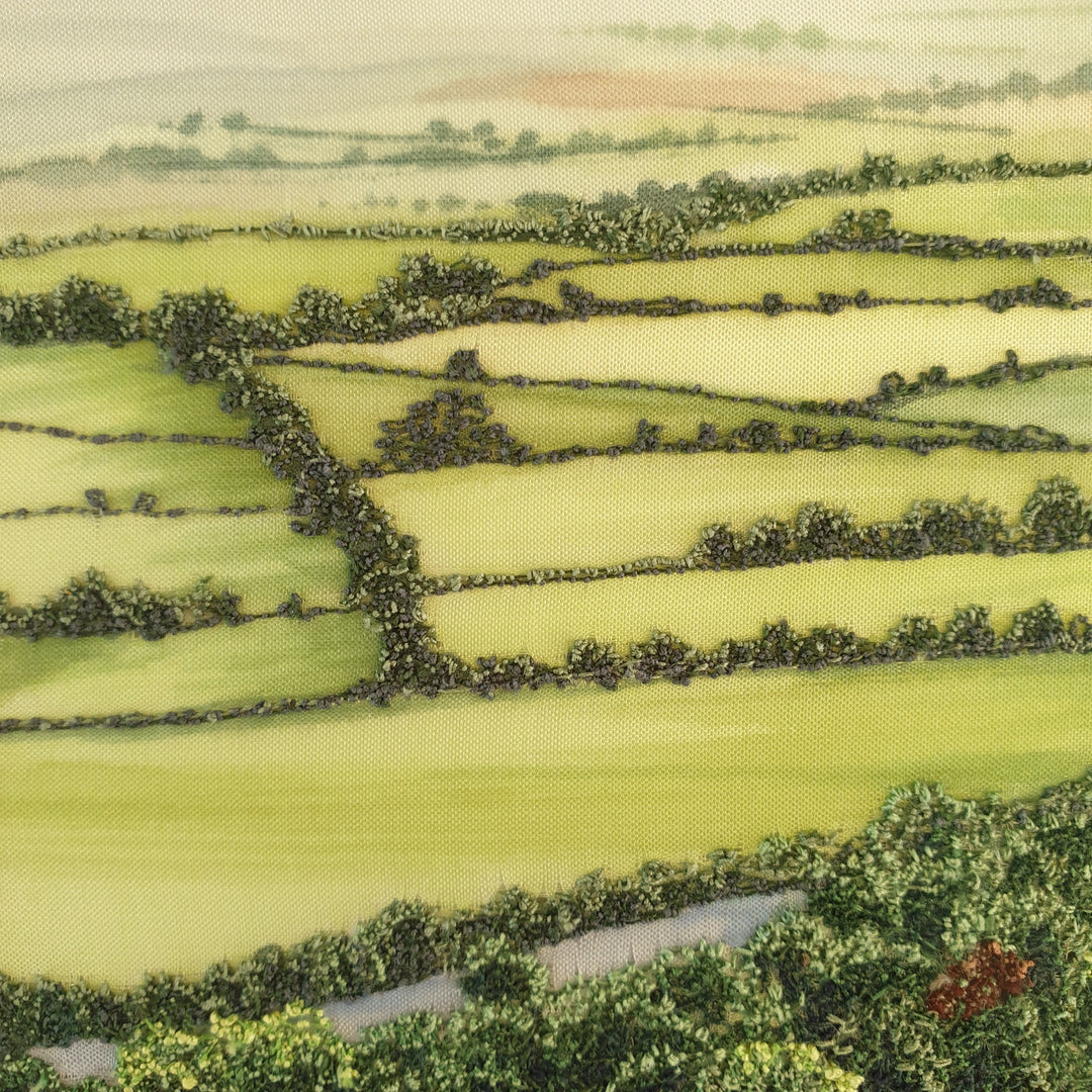 Aerial embroidery of sunlit patchwork fields and hedgerows with clusters of green and rust-coloured trees casting long shadows.
