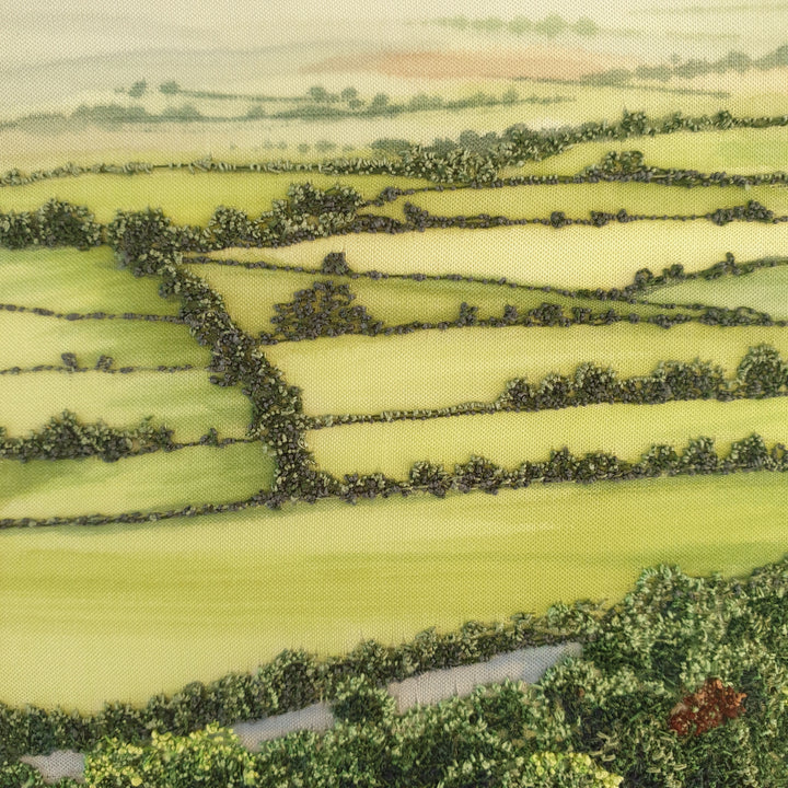 Aerial embroidery of sunlit patchwork fields and hedgerows with clusters of green and rust-coloured trees casting long shadows.

