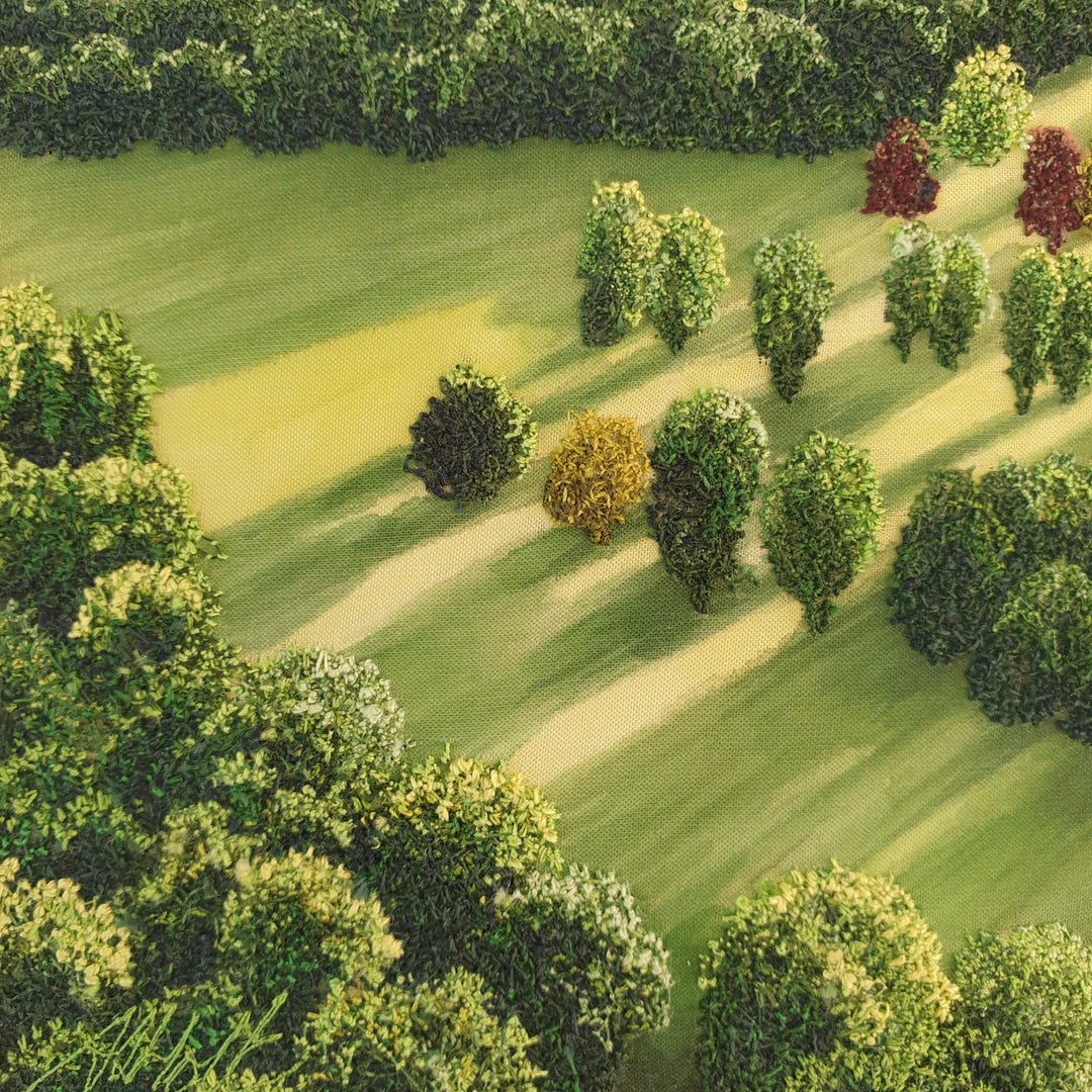 Aerial embroidery of sunlit patchwork fields and hedgerows with clusters of green and rust-coloured trees casting long shadows.
