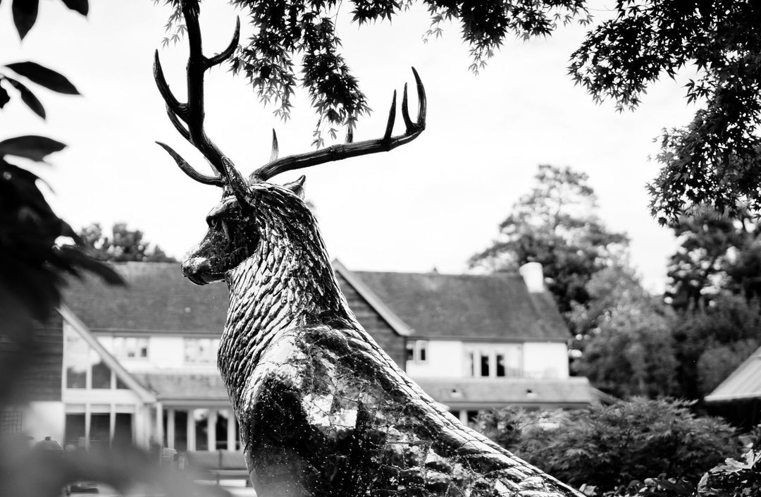 ‘Royal Stag’ by Michael Turner, a unique, one-of-one stainless steel wildlife sculpture depicting a majestic red deer stag standing proudly with an impressive set of 12-point antlers. Handcrafted from marine-grade stainless steel, the life-size sculpture features individually shaped metallic plates, finely detailed fur textures, powerful muscular proportions and a polished silver finish that reflects its natural surroundings. Designed for outdoor display, this contemporary British wildlife sculpture capture