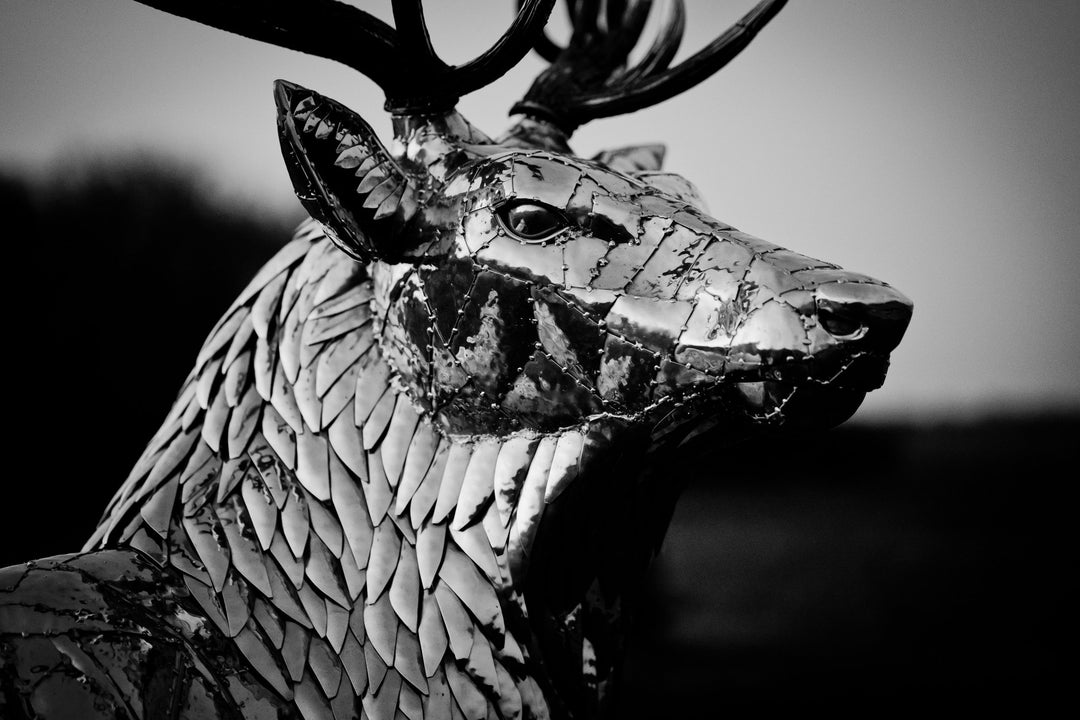 ‘Royal Stag’ by Michael Turner, a unique, one-of-one stainless steel wildlife sculpture depicting a majestic red deer stag standing proudly with an impressive set of 12-point antlers. Handcrafted from marine-grade stainless steel, the life-size sculpture features individually shaped metallic plates, finely detailed fur textures, powerful muscular proportions and a polished silver finish that reflects its natural surroundings. Designed for outdoor display, this contemporary British wildlife sculpture capture