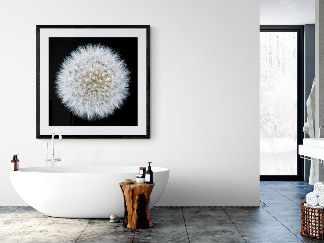 Close-up photograph of a fully formed dandelion seed head, radiating soft white filaments in a perfect spherical formation against a deep black background.