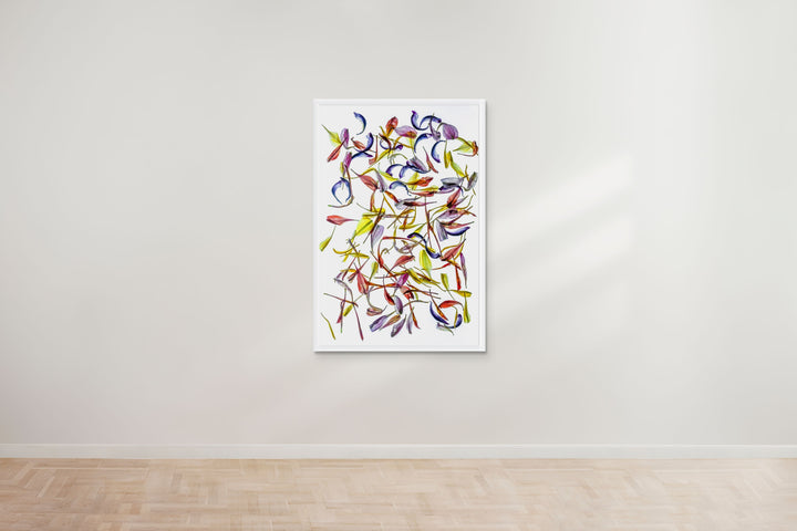 A vibrant composition of multicoloured flower petals arranged on a white canvas backdrop. The translucent petals display a variety of hues and textures, scattered in an expressive and organic pattern, showcasing tones of red, yellow, blue, purple, and orange against the stark, clean background.