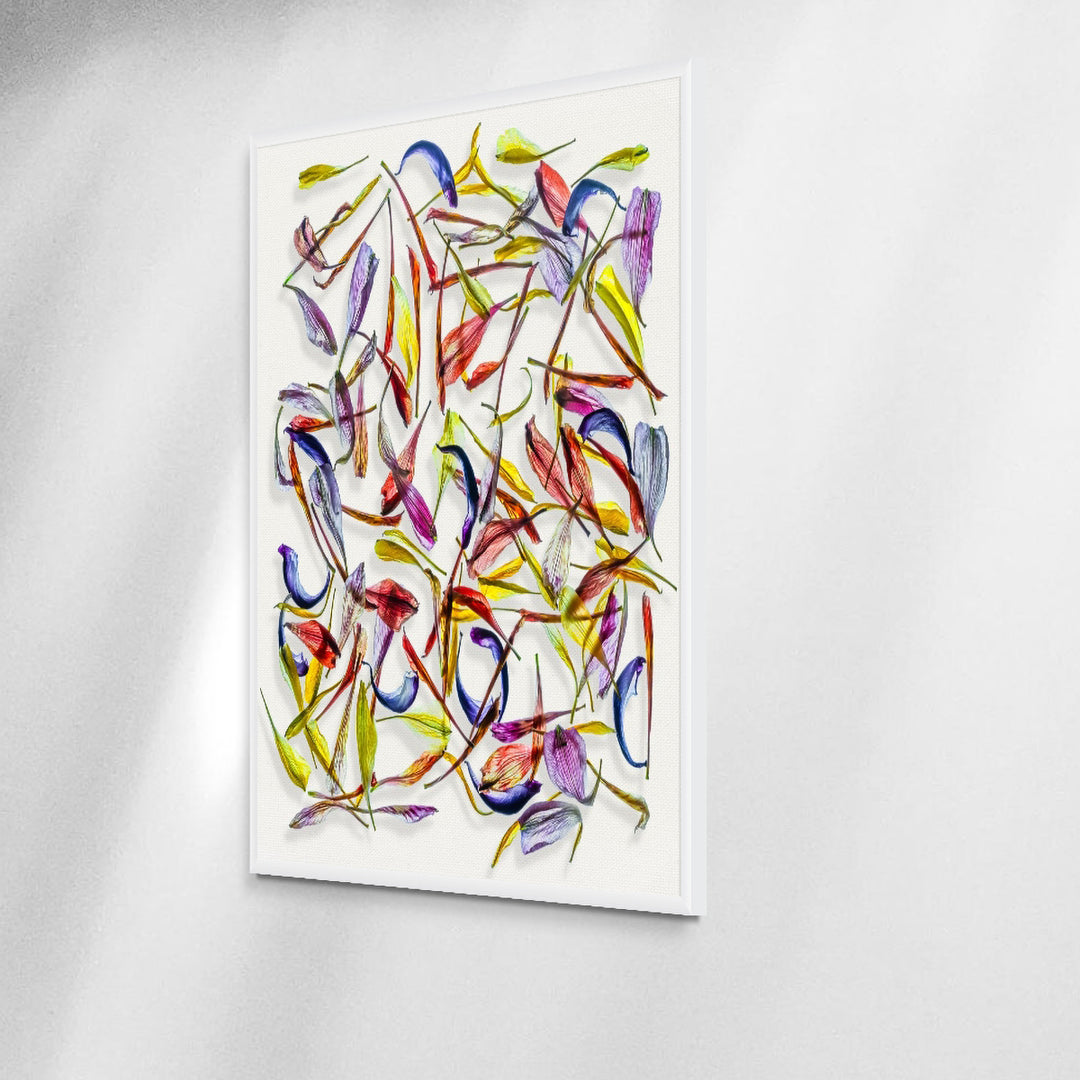 A meticulously arranged composition of vivid, translucent flower petals scattered across a clean white canvas. The petals display a rich palette of colours—reds, purples, blues, yellows, and greens—highlighting their fine textures and natural curves in a dynamic, layered pattern.