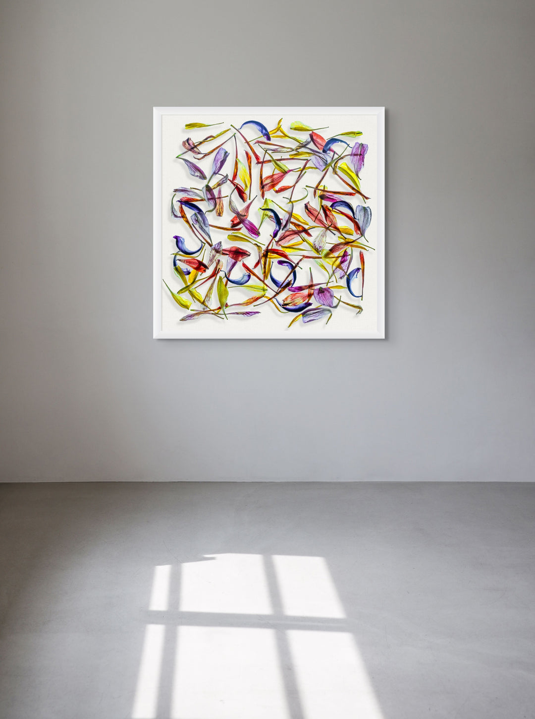 A meticulously arranged composition of vivid, translucent flower petals scattered across a clean white canvas. The petals display a rich palette of colours—reds, purples, blues, yellows, and greens—highlighting their fine textures and natural curves in a dynamic, layered pattern.