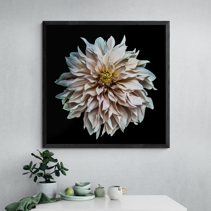 A meticulously detailed close-up of a pale blush-pink dahlia in full bloom, captured against a deep black background. The petals radiate outward in soft waves, with subtle gradients of ivory, rose, lilac, and hints of cool green and buttery yellow at the centre. The image creates a powerful sense of depth and motion through lenticular 3D presentation, making the flower appear almost sculptural and floating in space.