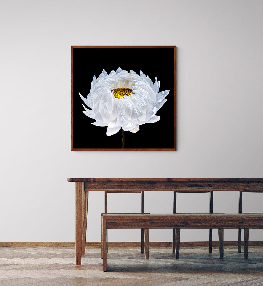 Highly detailed close-up of a white flower in bloom, with delicate translucent petals fanning outward and revealing a dense yellow centre, set against a rich black background that enhances the sense of sculptural depth and clarity.
