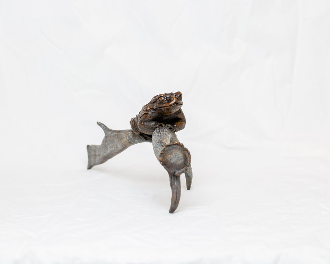 Sonoran Desert Toad bronze sculpture by Tom Saxton perched on a natural antler form, detailed amphibian wildlife sculpture in rich dark bronze and warm copper-brown tones with subtle green verdigris patina, natural world bronze artwork