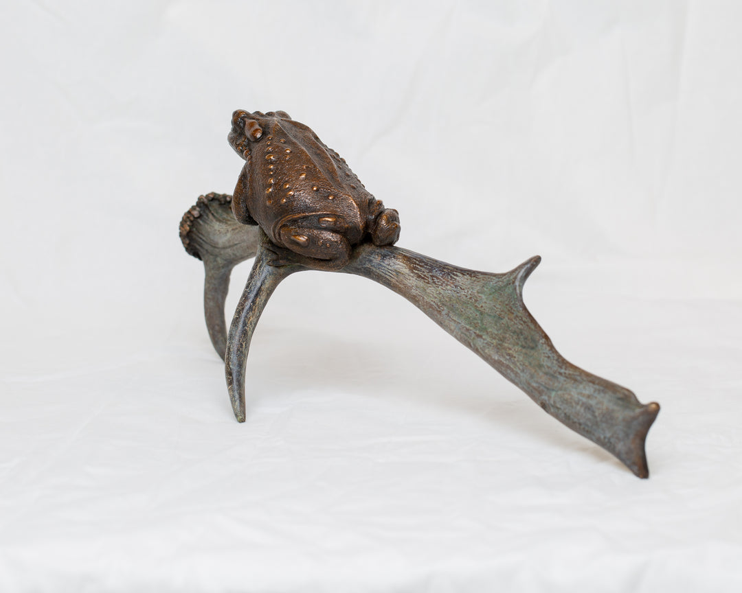 Sonoran Desert Toad bronze sculpture by Tom Saxton perched on a natural antler form, detailed amphibian wildlife sculpture in rich dark bronze and warm copper-brown tones with subtle green verdigris patina, natural world bronze artwork
