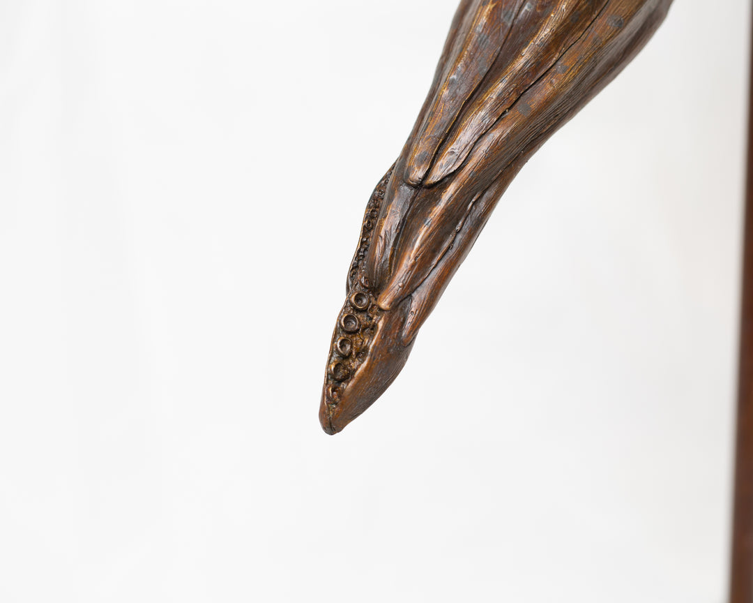 Bigfin Reef Squid bronze sculpture by Tom Saxton mounted on a vertical stand and Cotswold stone plinth, elegant marine life sculpture with flowing fins in rich dark bronze and warm copper-brown tones with subtle golden highlights