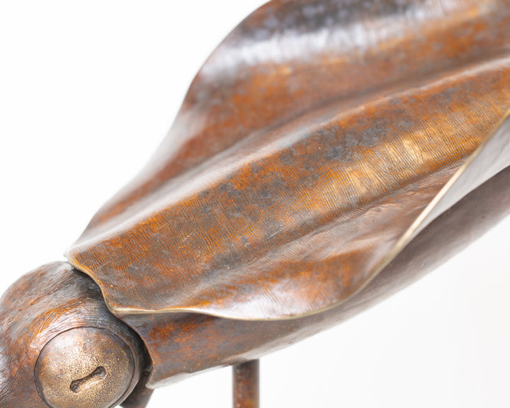 Bigfin Reef Squid bronze sculpture by Tom Saxton mounted on a vertical stand and Cotswold stone plinth, elegant marine life sculpture with flowing fins in rich dark bronze and warm copper-brown tones with subtle golden highlights