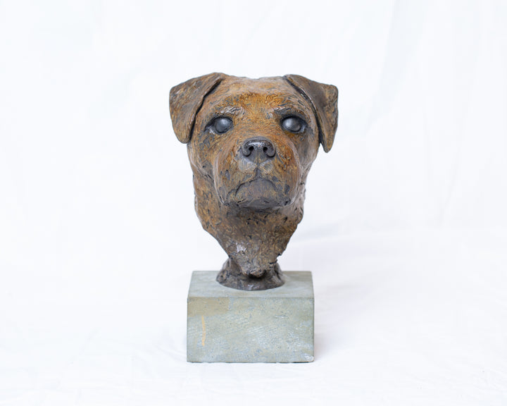 Sidney Border Terrier bronze sculpture by Tom Saxton mounted on a Cotswold stone plinth, expressive dog portrait bust with textured fur in warm copper-brown and dark bronze tones, contemporary canine bronze sculpture