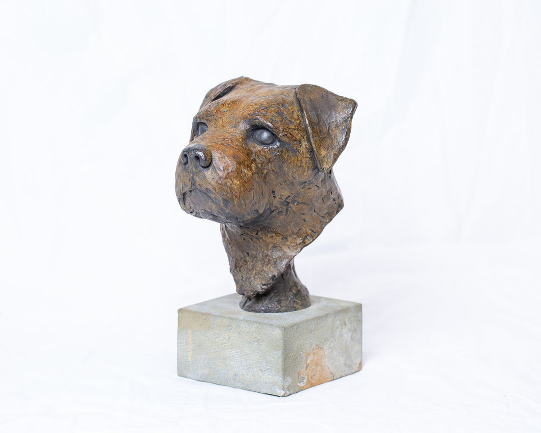 Sidney Border Terrier bronze sculpture by Tom Saxton mounted on a Cotswold stone plinth, expressive dog portrait bust with textured fur in warm copper-brown and dark bronze tones, contemporary canine bronze sculpture