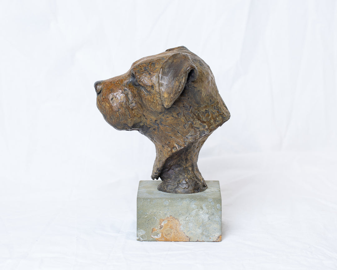 Sidney Border Terrier bronze sculpture by Tom Saxton mounted on a Cotswold stone plinth, expressive dog portrait bust with textured fur in warm copper-brown and dark bronze tones, contemporary canine bronze sculpture