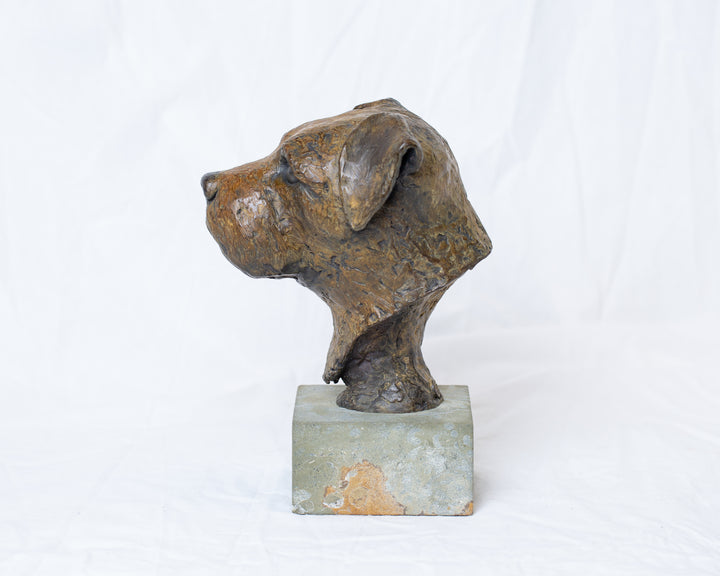 Sidney Border Terrier bronze sculpture by Tom Saxton mounted on a Cotswold stone plinth, expressive dog portrait bust with textured fur in warm copper-brown and dark bronze tones, contemporary canine bronze sculpture