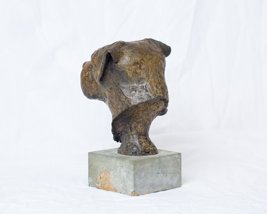 Sidney Border Terrier bronze sculpture by Tom Saxton mounted on a Cotswold stone plinth, expressive dog portrait bust with textured fur in warm copper-brown and dark bronze tones, contemporary canine bronze sculpture