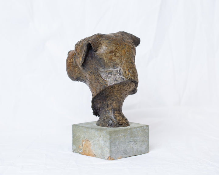 Sidney Border Terrier bronze sculpture by Tom Saxton mounted on a Cotswold stone plinth, expressive dog portrait bust with textured fur in warm copper-brown and dark bronze tones, contemporary canine bronze sculpture
