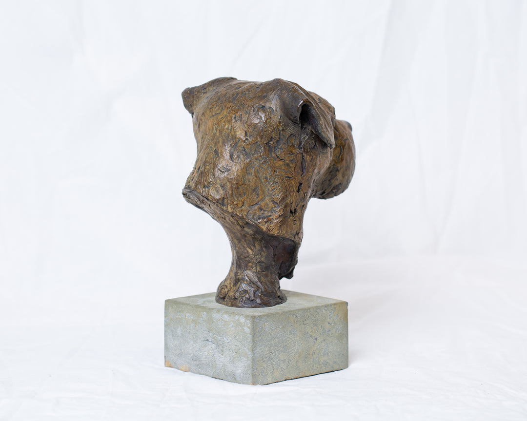 Sidney Border Terrier bronze sculpture by Tom Saxton mounted on a Cotswold stone plinth, expressive dog portrait bust with textured fur in warm copper-brown and dark bronze tones, contemporary canine bronze sculpture