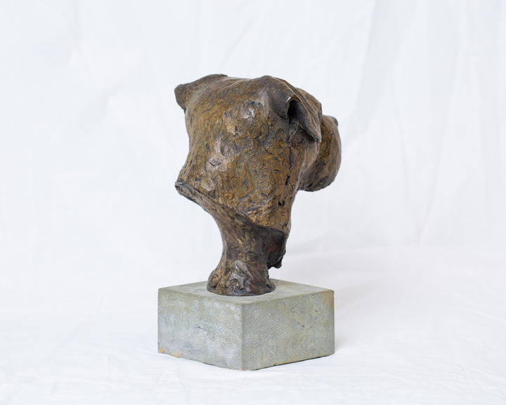 Sidney Border Terrier bronze sculpture by Tom Saxton mounted on a Cotswold stone plinth, expressive dog portrait bust with textured fur in warm copper-brown and dark bronze tones, contemporary canine bronze sculpture