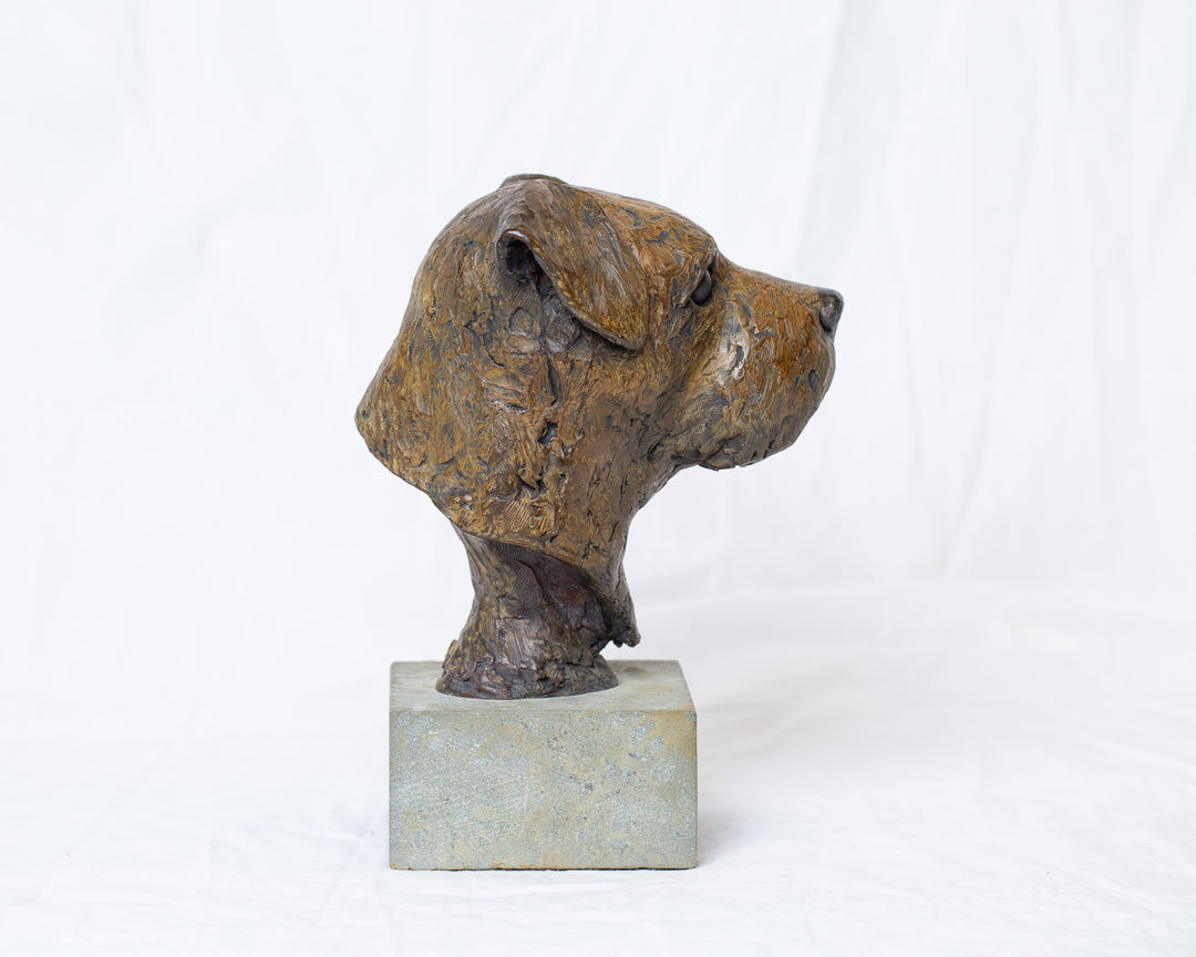 Sidney Border Terrier bronze sculpture by Tom Saxton mounted on a Cotswold stone plinth, expressive dog portrait bust with textured fur in warm copper-brown and dark bronze tones, contemporary canine bronze sculpture