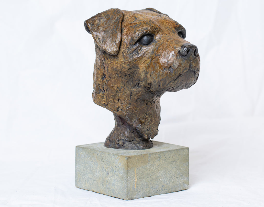 Sidney Border Terrier bronze sculpture by Tom Saxton mounted on a Cotswold stone plinth, expressive dog portrait bust with textured fur in warm copper-brown and dark bronze tones, contemporary canine bronze sculpture
