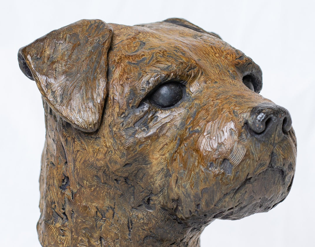 Sidney Border Terrier bronze sculpture by Tom Saxton mounted on a Cotswold stone plinth, expressive dog portrait bust with textured fur in warm copper-brown and dark bronze tones, contemporary canine bronze sculpture